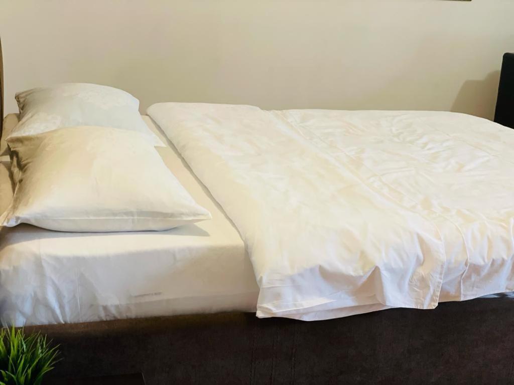 Tranzzit Airport Apartament Otopeni Dış mekan fotoğraf