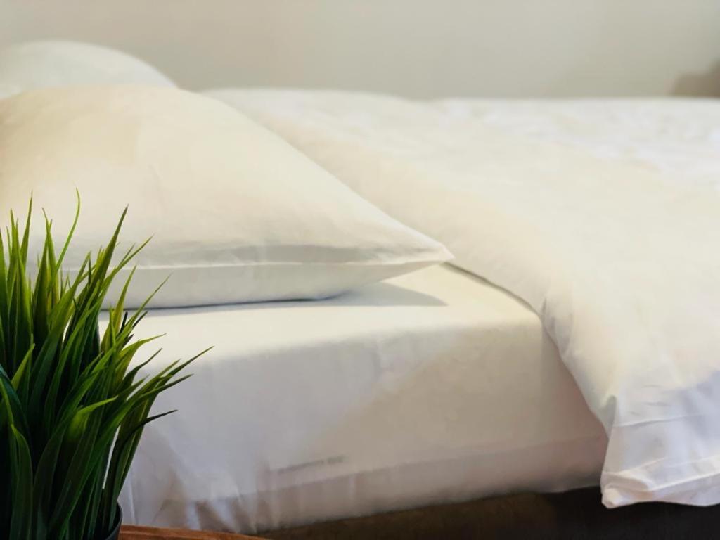 Tranzzit Airport Apartament Otopeni Dış mekan fotoğraf