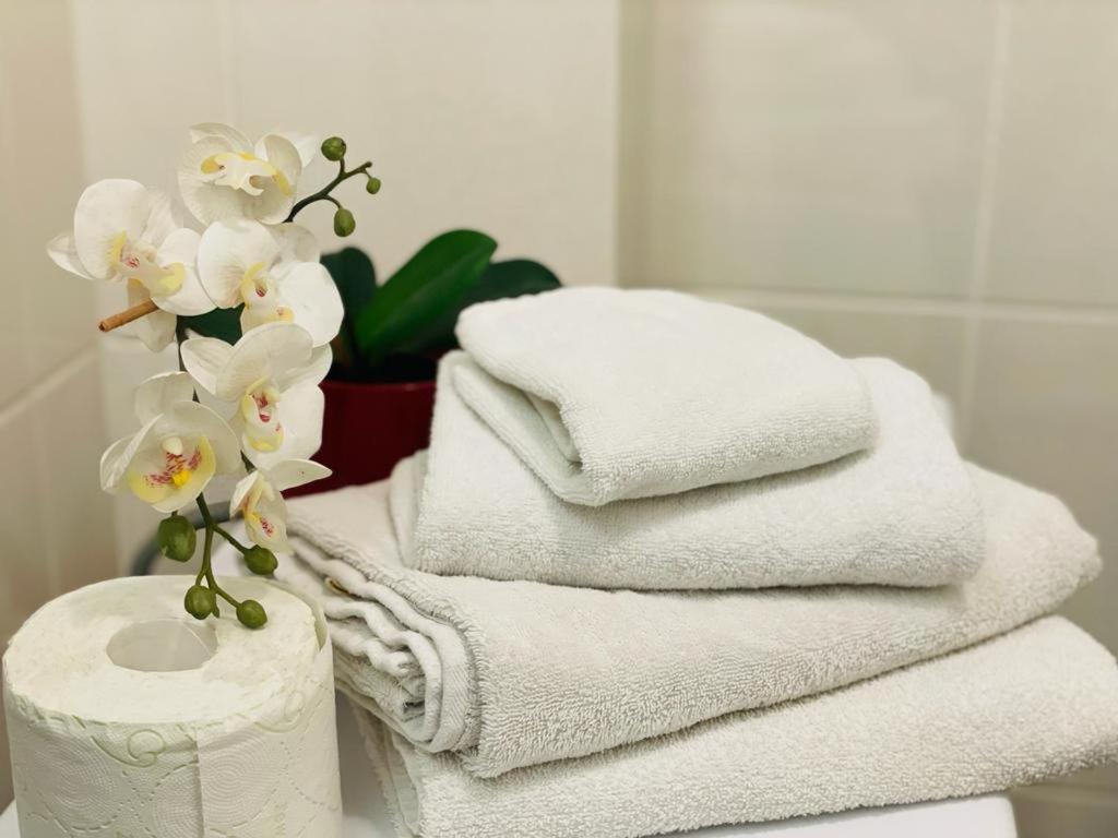 Tranzzit Airport Apartament Otopeni Dış mekan fotoğraf