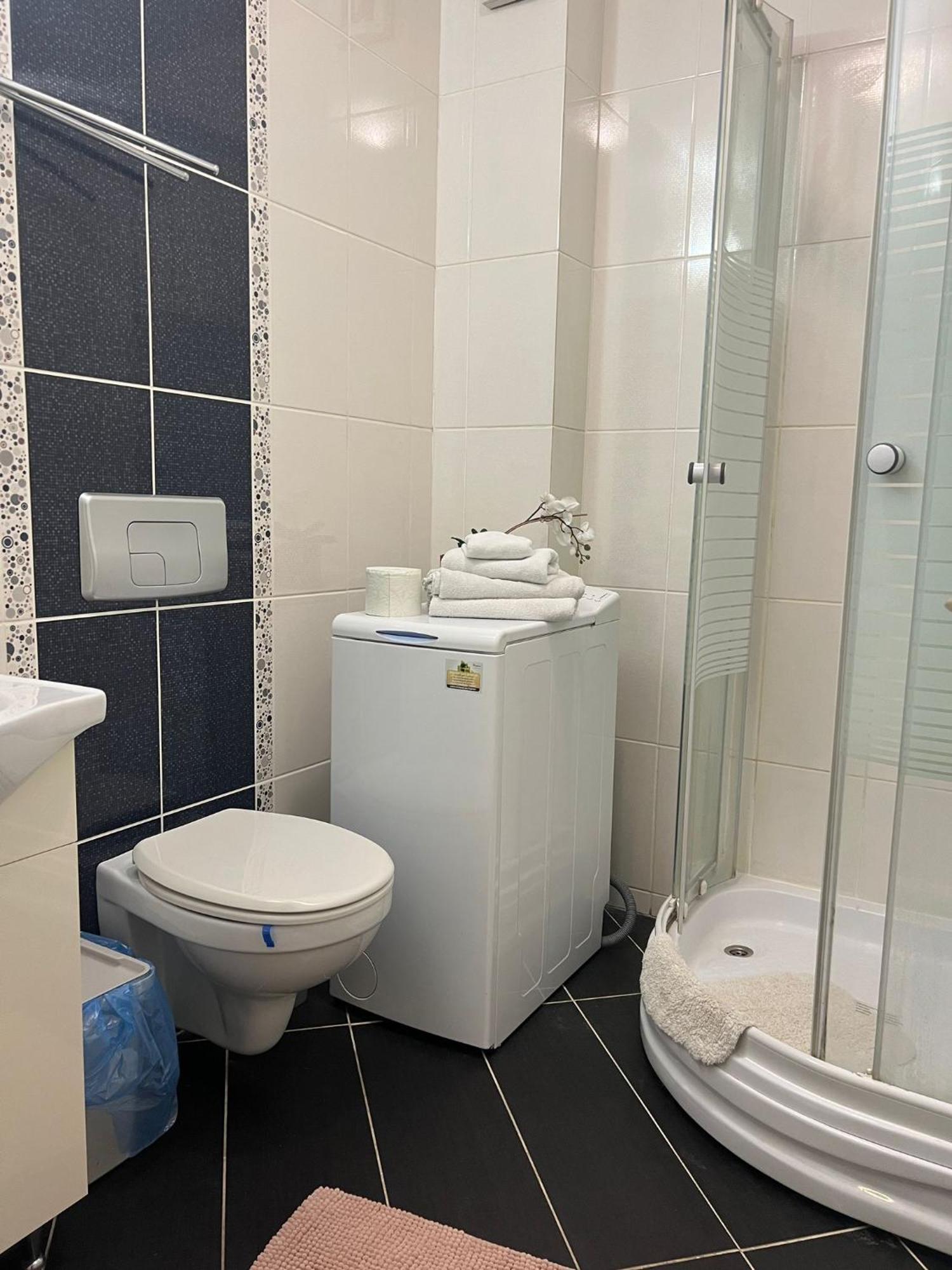Tranzzit Airport Apartament Otopeni Dış mekan fotoğraf