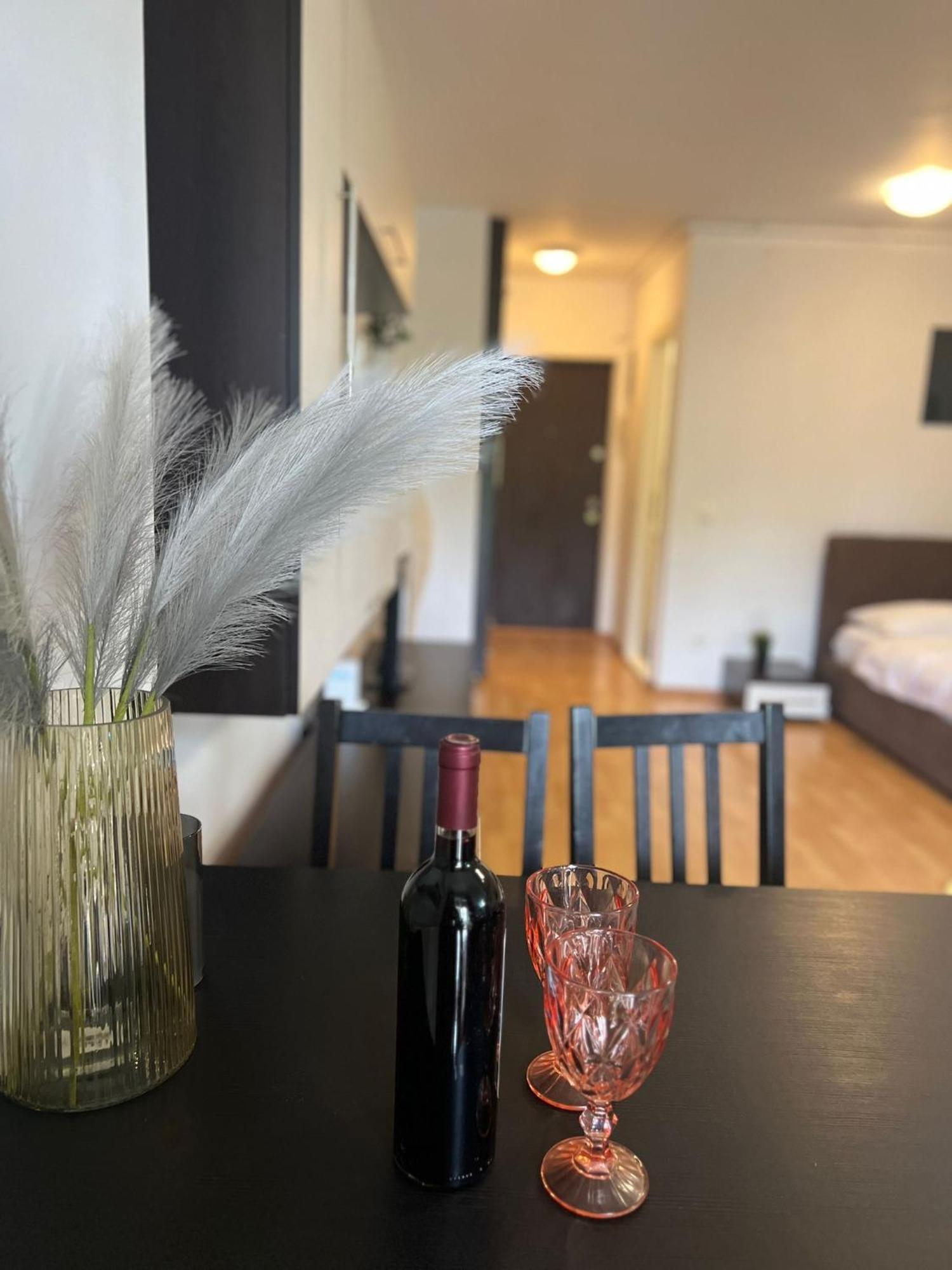 Tranzzit Airport Apartament Otopeni Dış mekan fotoğraf